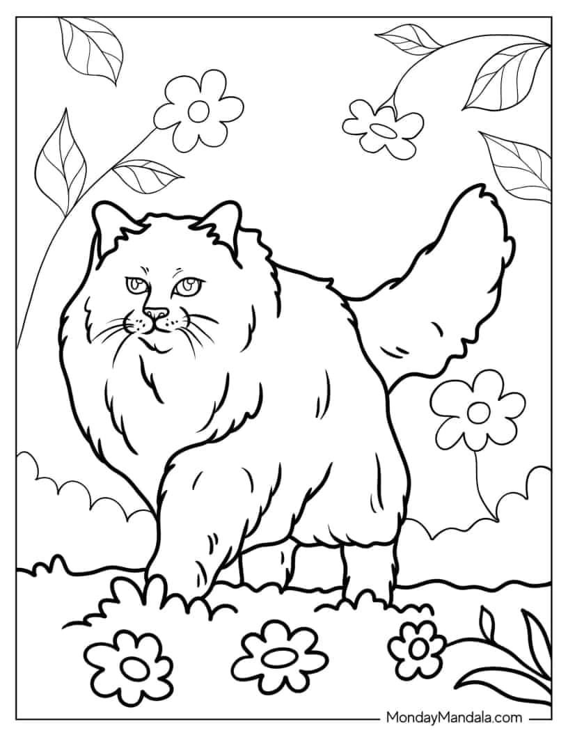 Siberian Cat Walking On Flower Field Coloring In coloring page — printable line art