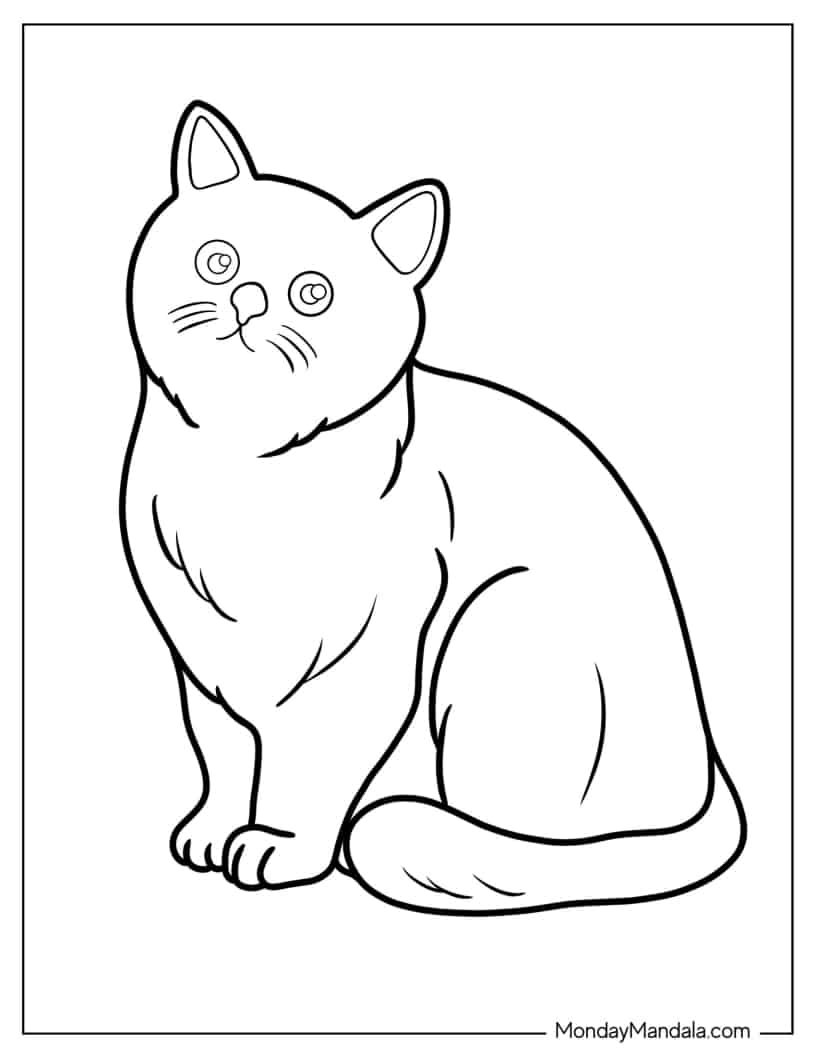 Simple Outline Of Realistic Cat Coloring Page coloring page