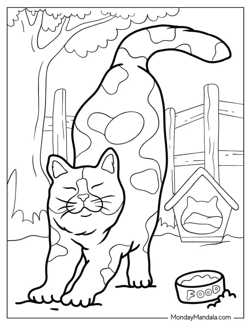 Spotted Cat Stretching In Backyard Coloring In coloring page