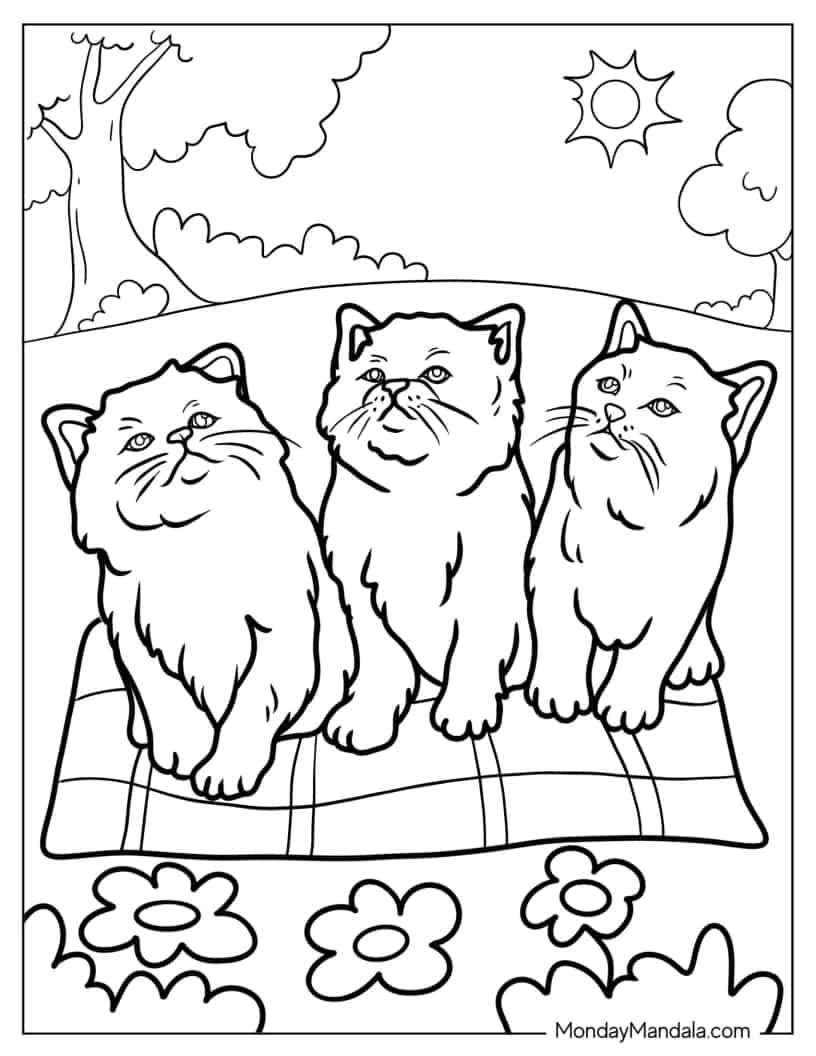 Three Realistic Kittens Looking Up coloring page — printable line art