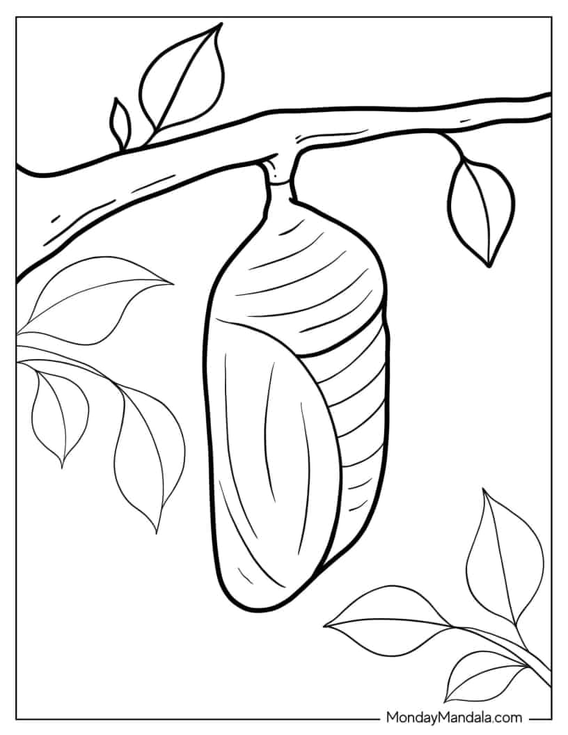 Caterpillar Cocoon Coloring Sheet coloring page — printable line art