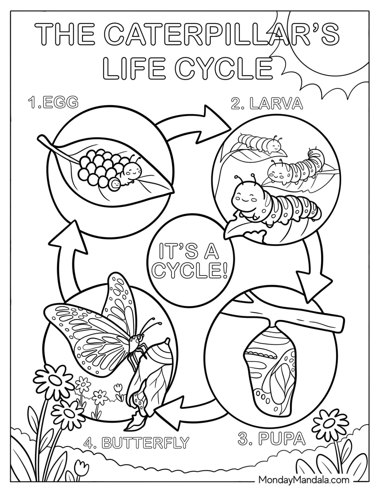 Caterpillar Coloring Page Life Cycle Diagram with Egg, Larva, Pupa, and Butterfly coloring page