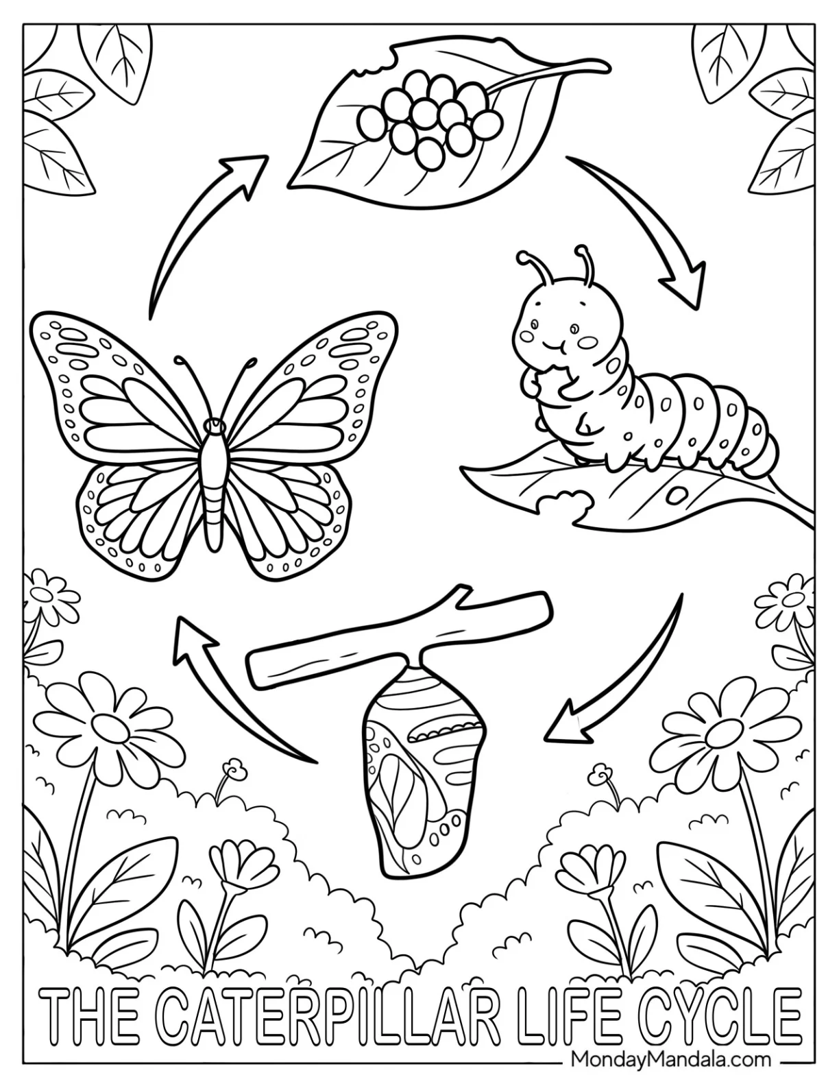 Caterpillar Coloring Page Life Cycle with Leaf, Chrysalis, and Butterfly coloring page — printable line art