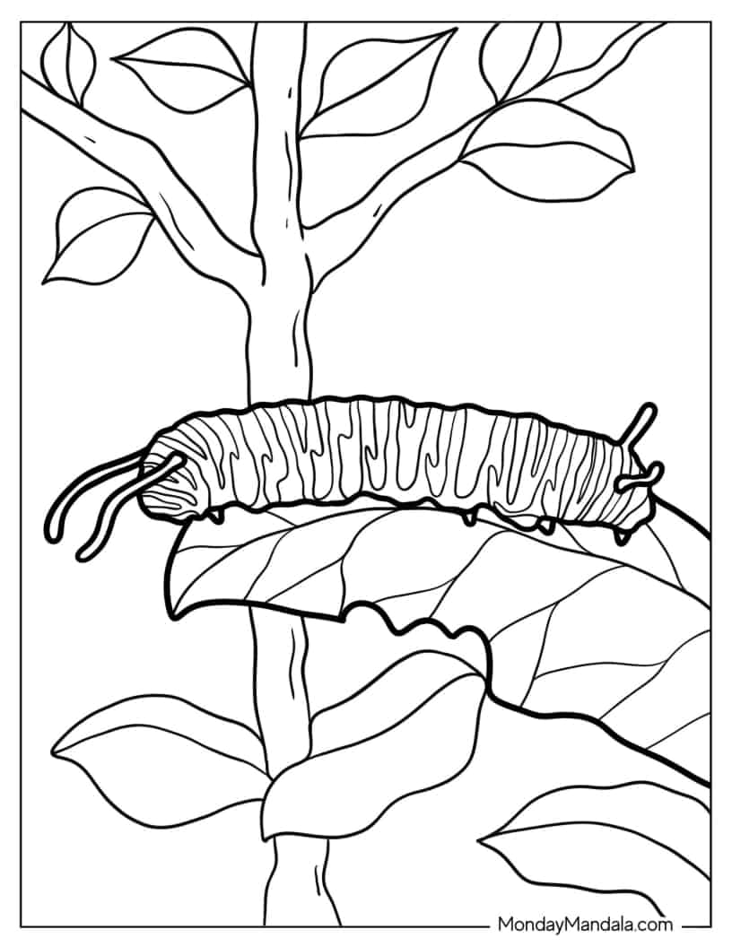 Coloring Page Of a Monarch Caterpillar coloring page — printable line art