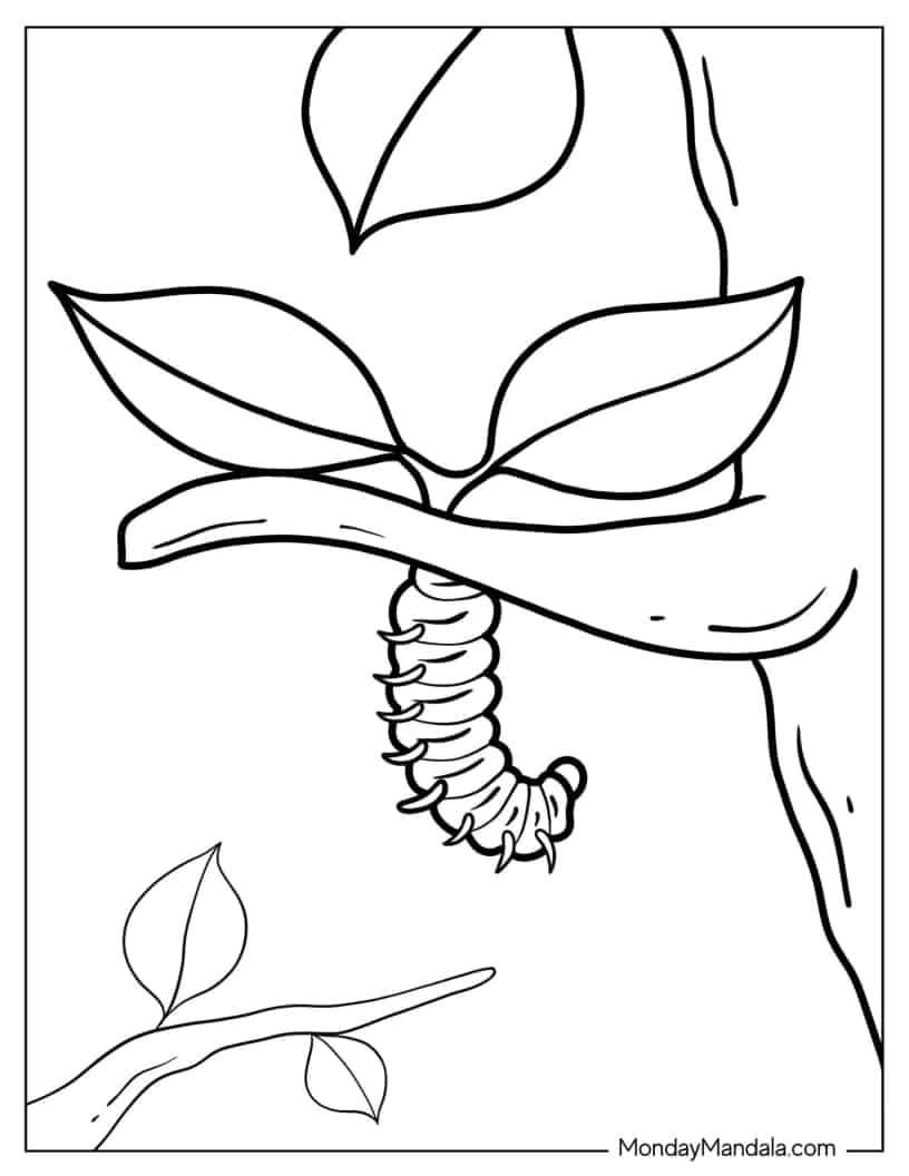 Coloring Page Of Caterpillar Hanging From Tree coloring page