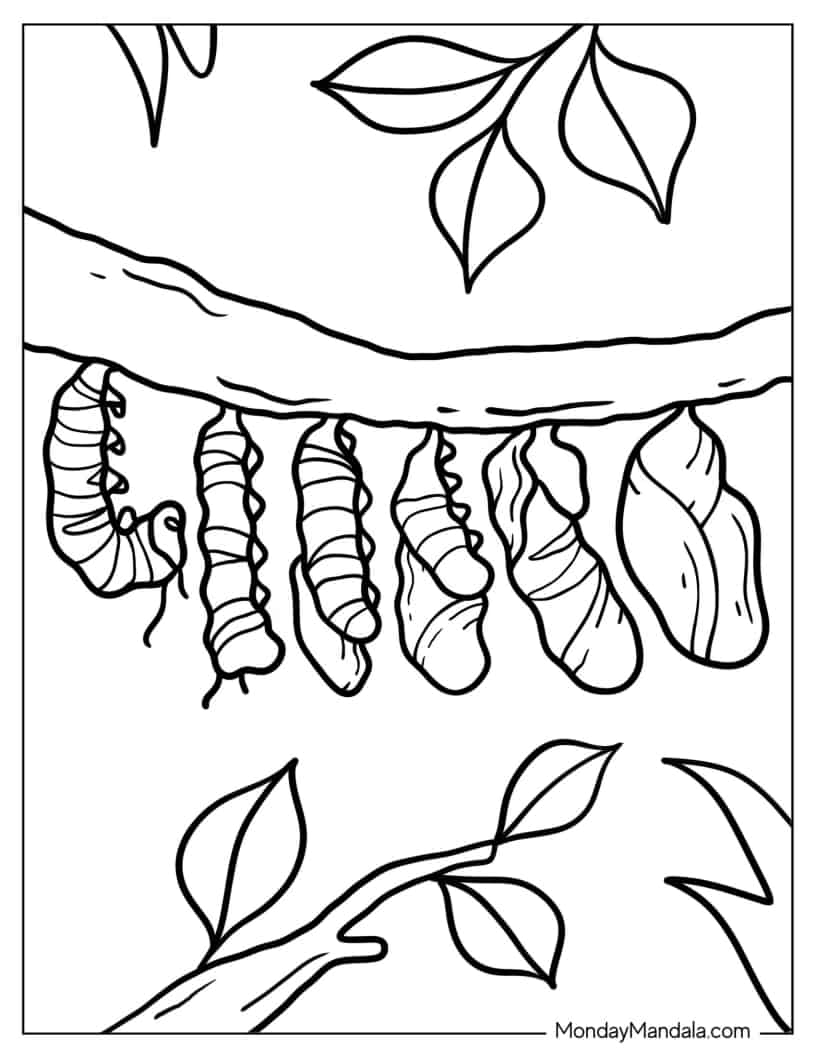 Educational Caterpillar Coloring Page coloring page — printable line art