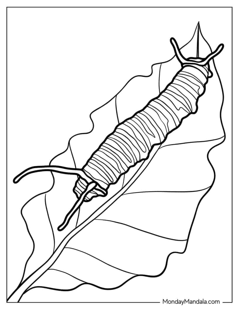 Monarch Caterpillar On Leaf To Color coloring page — printable line art