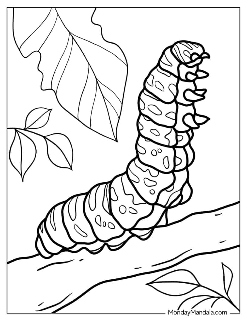 Realistic Looking Caterpillar To Color coloring page