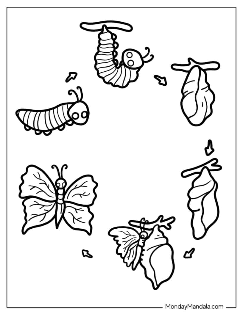 Simple Caterpillar Lifecycle From Cocoon To Butterfly coloring page