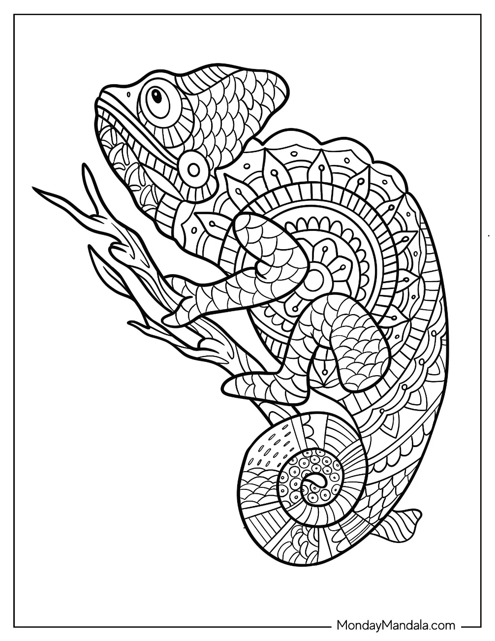 Chameleon Coloring Page Mandala On Tree Branch coloring page