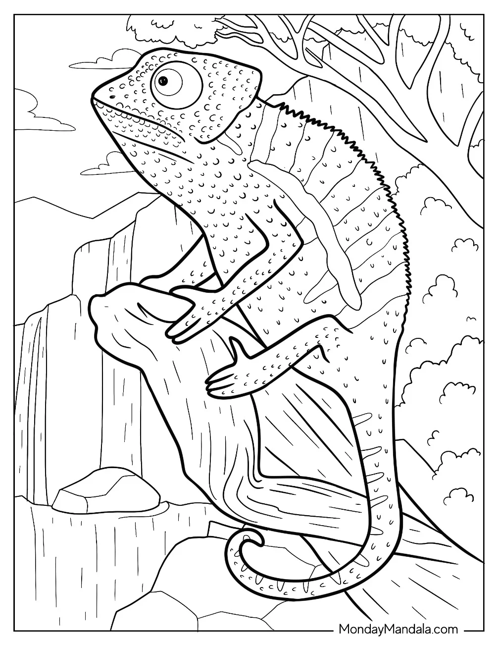 Chameleon Coloring Page On Large Rock In The Forest coloring page