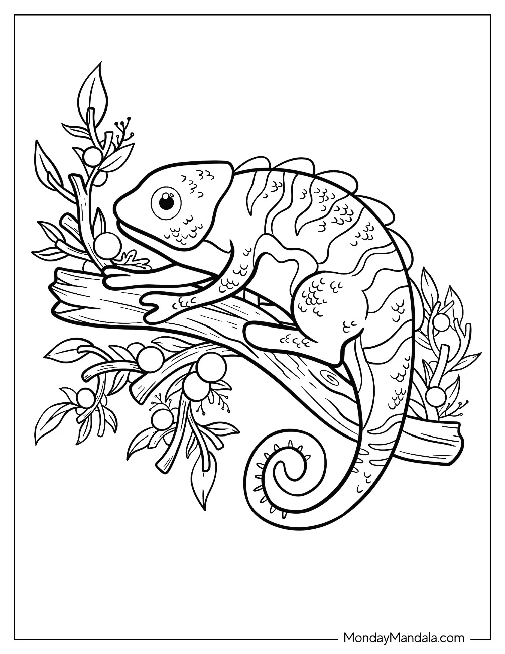 Chameleon Coloring Page Resting On Tree Branch For Kids coloring page