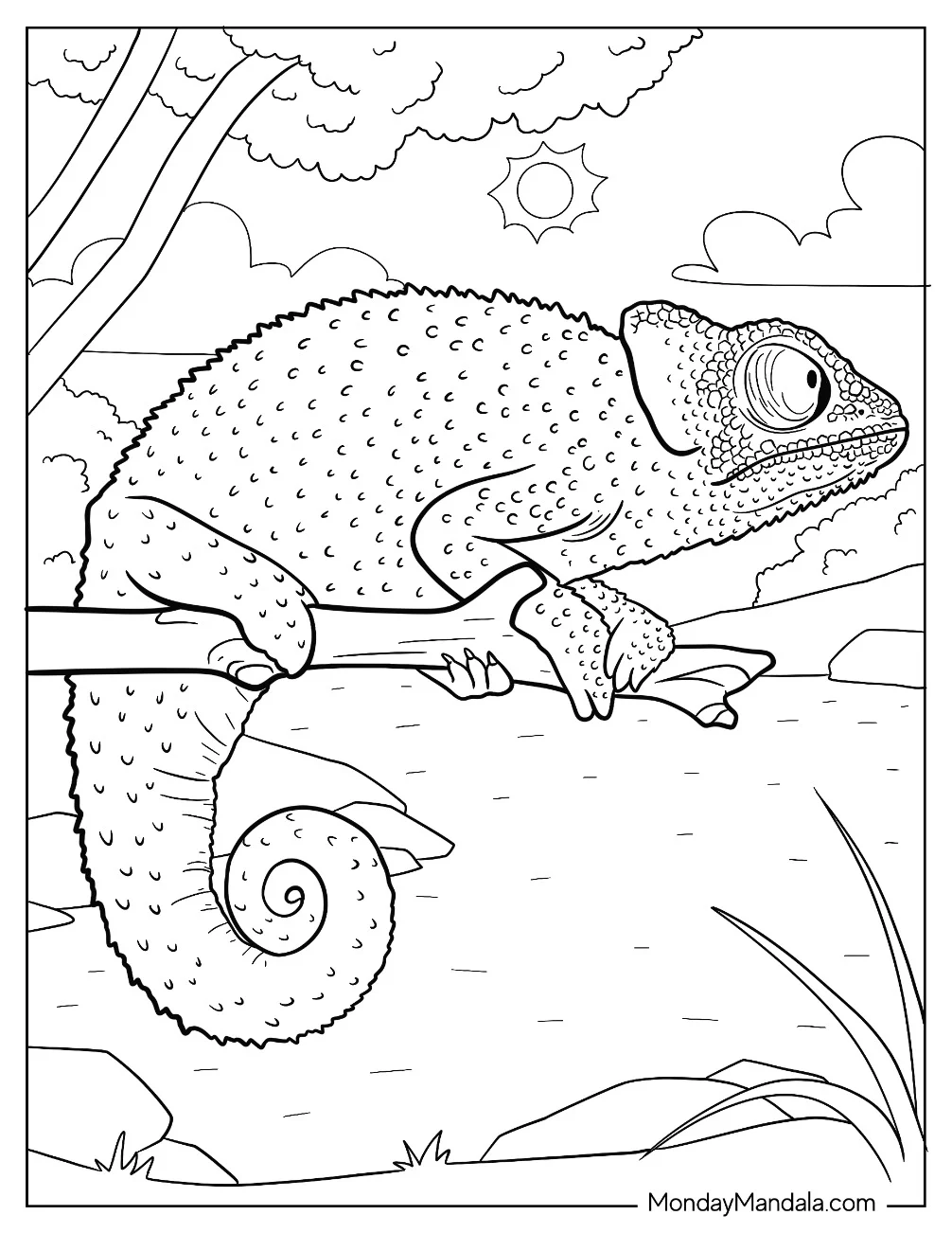 Coarse Chameleon Coloring Page coloring page — printable line art