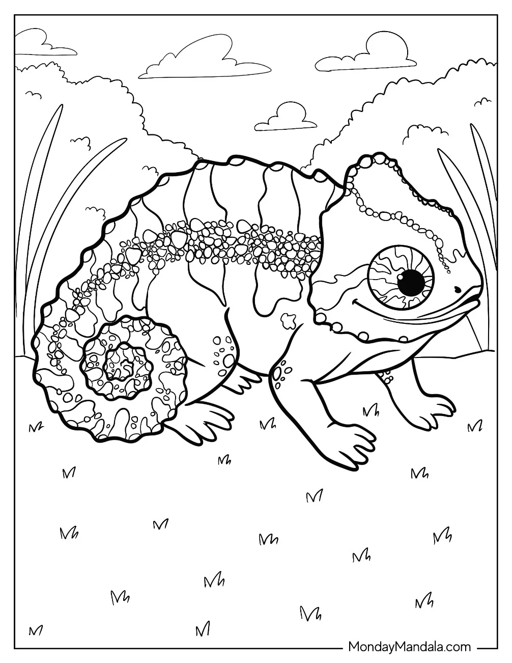 Cute Chameleon Coloring Page With Textured Skin coloring page