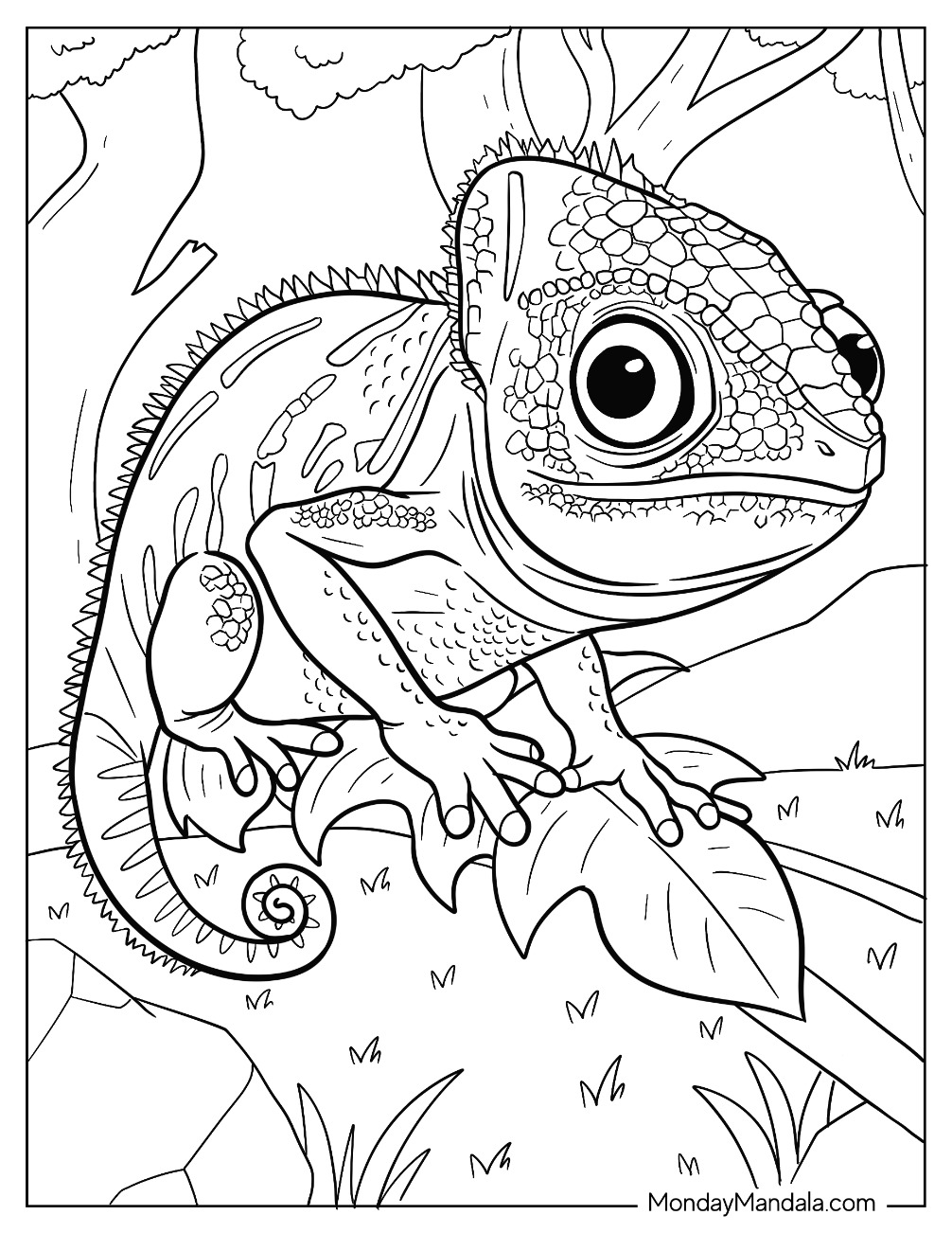 Detailed Chameleon Coloring Page With Large Eyes coloring page
