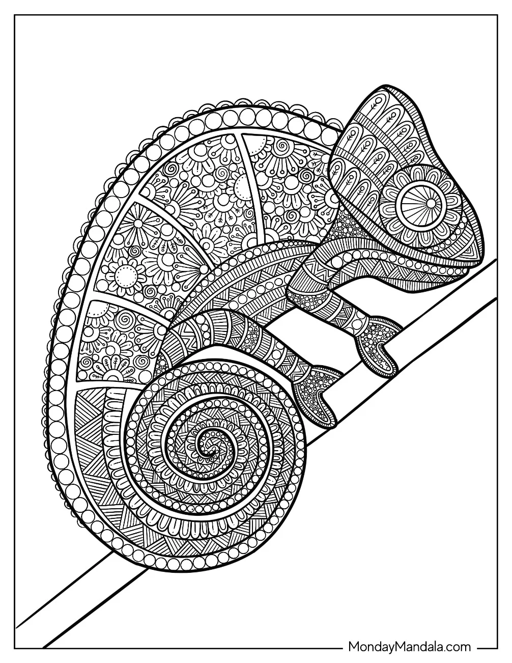 Intricate Chameleon Coloring Page Mandala coloring page