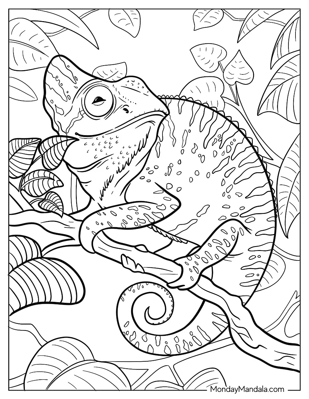 Large Smiling Chameleon Coloring Page With Leaves In Background coloring page — printable line art