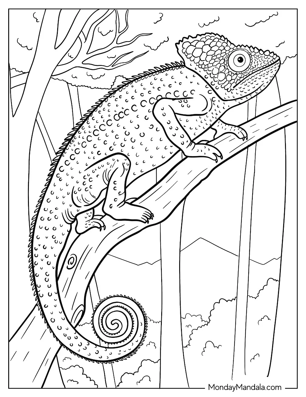 Realistic Chameleon Coloring Page On Tree Branch coloring page — printable line art