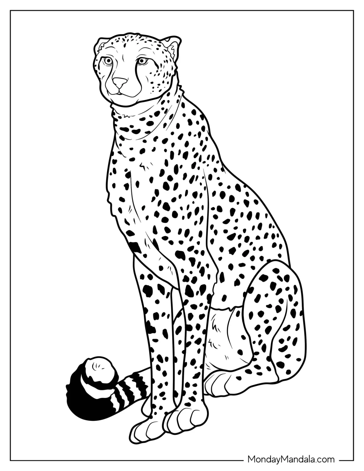 Adult Cheetah Coloring Page Sitting Down coloring page — printable line art