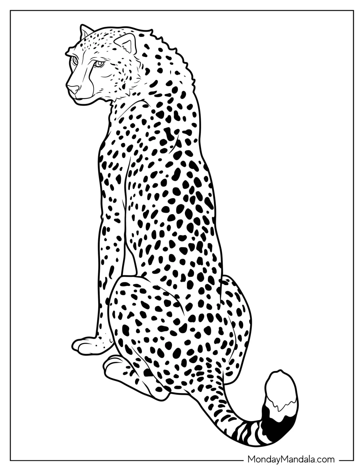 Back View Of Realistic Adult Cheetah Coloring Page coloring page — printable line art