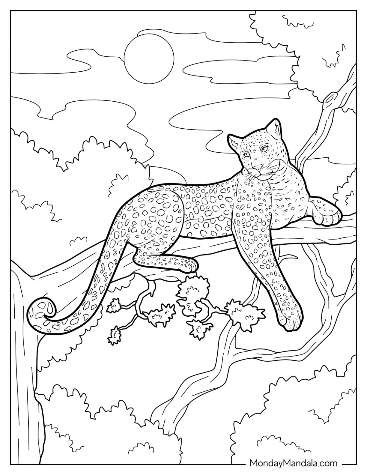 Big Cheetah Coloring Page Resting On A Tree Branch coloring page — printable line art