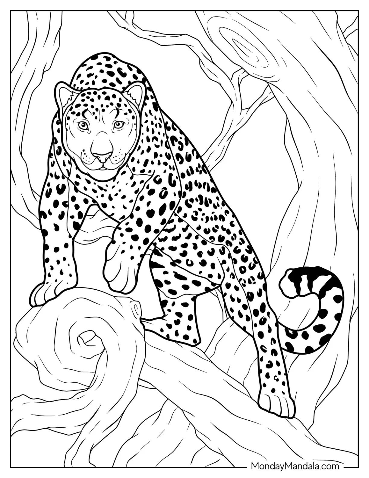Detailed Cheetah Coloring Page Climbing Tree coloring page