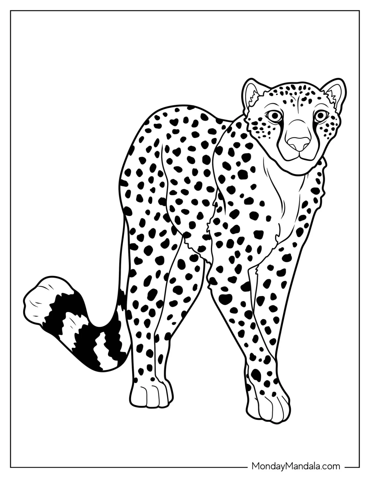 Easy Outline Of Friendly Cheetah Coloring Page coloring page