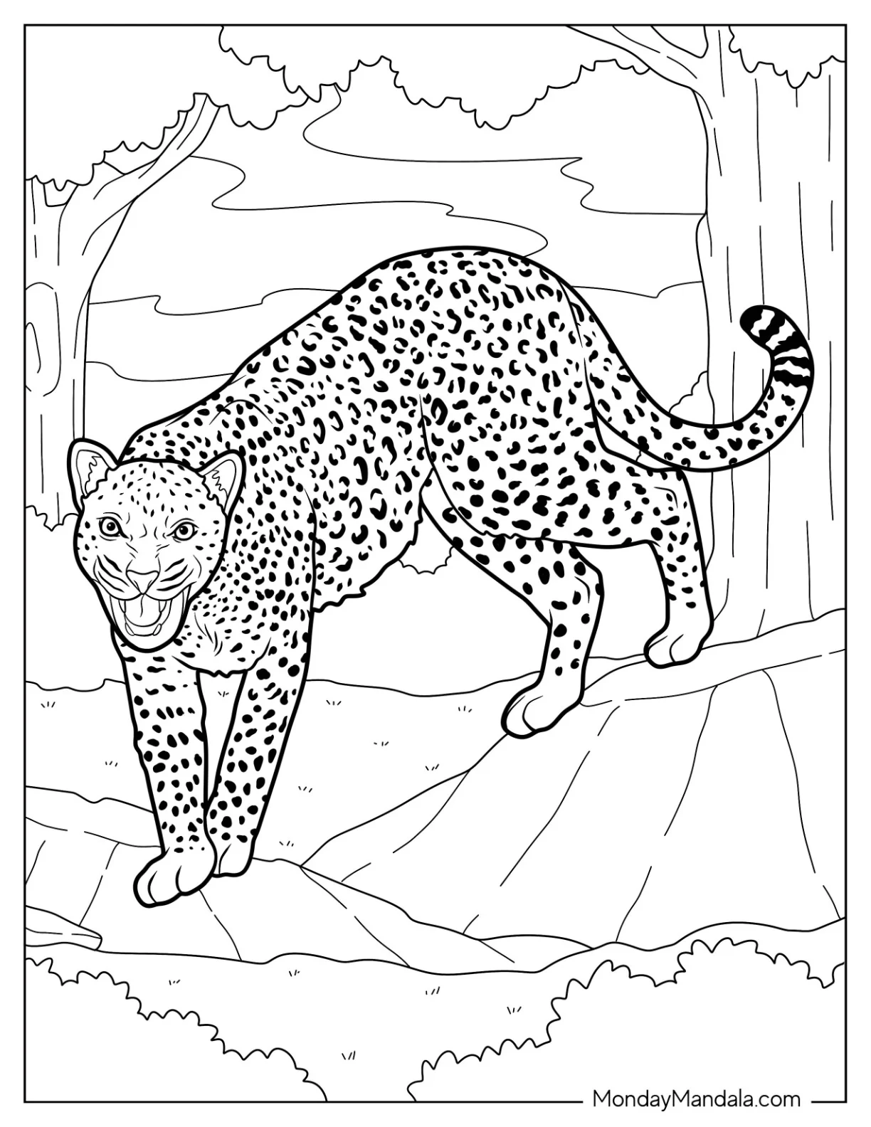 Large Cheetah Coloring Page Hissing coloring page
