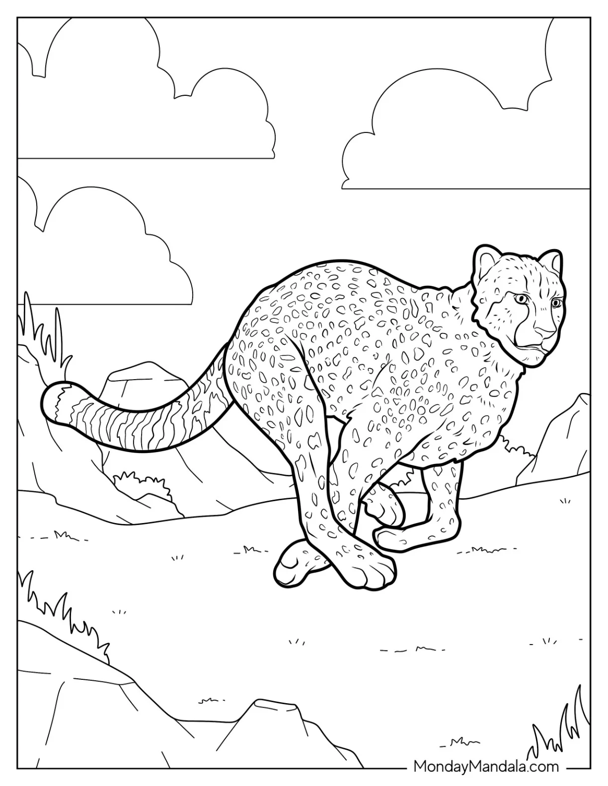 Realistic Cheetah Coloring Page In Mid Run coloring page