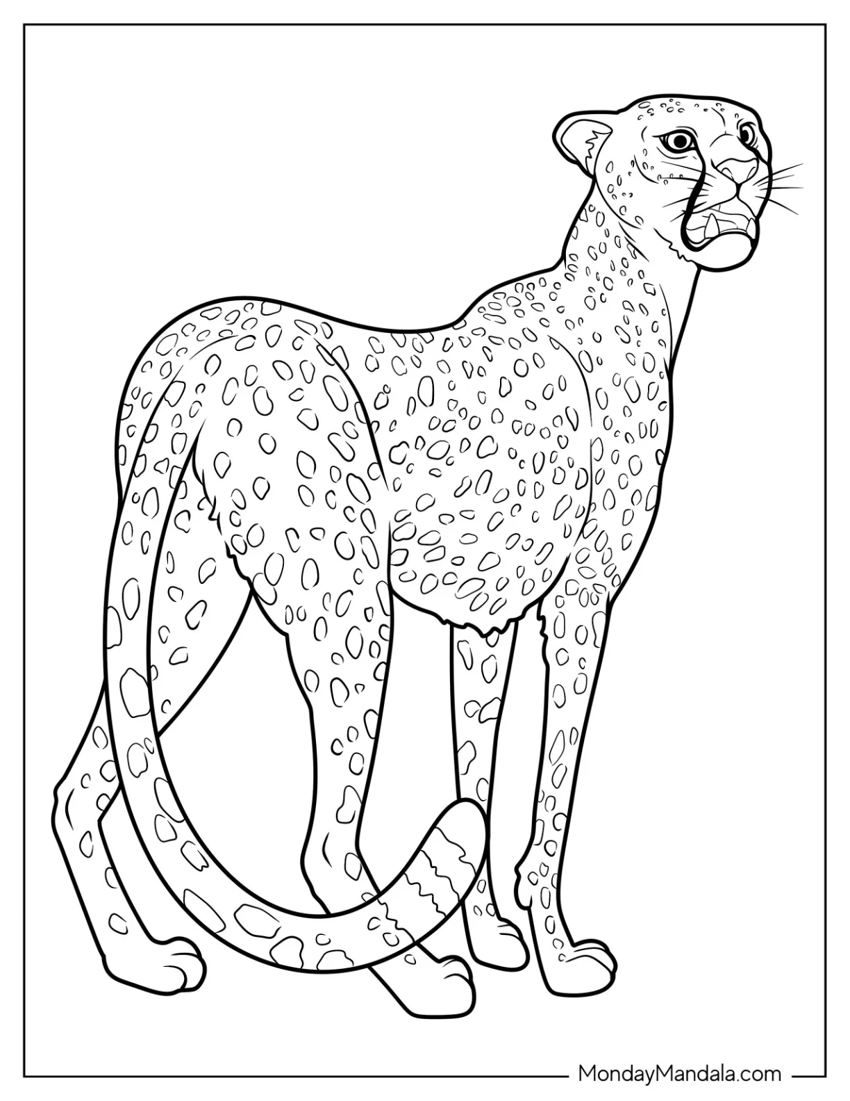 Simple Cheetah Coloring Page Looking Back For Kids coloring page