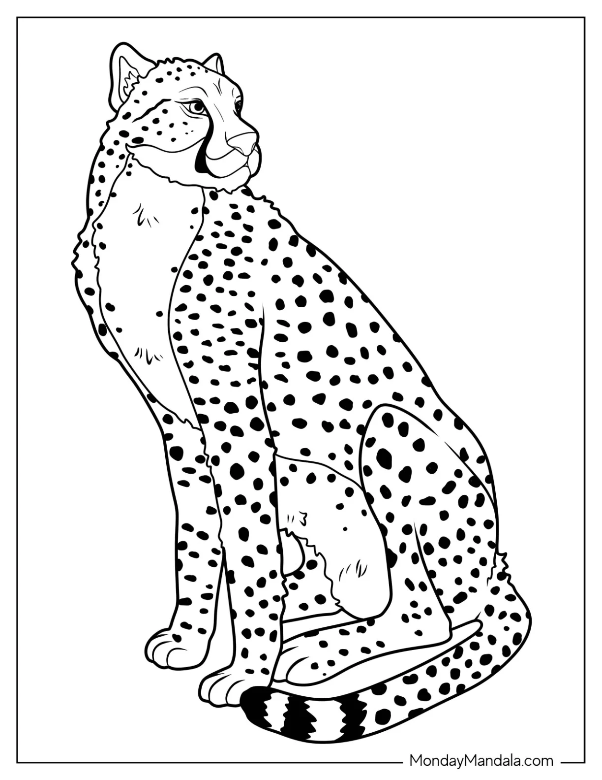 Simple Cheetah Coloring Page Looking Sideways coloring page — printable line art