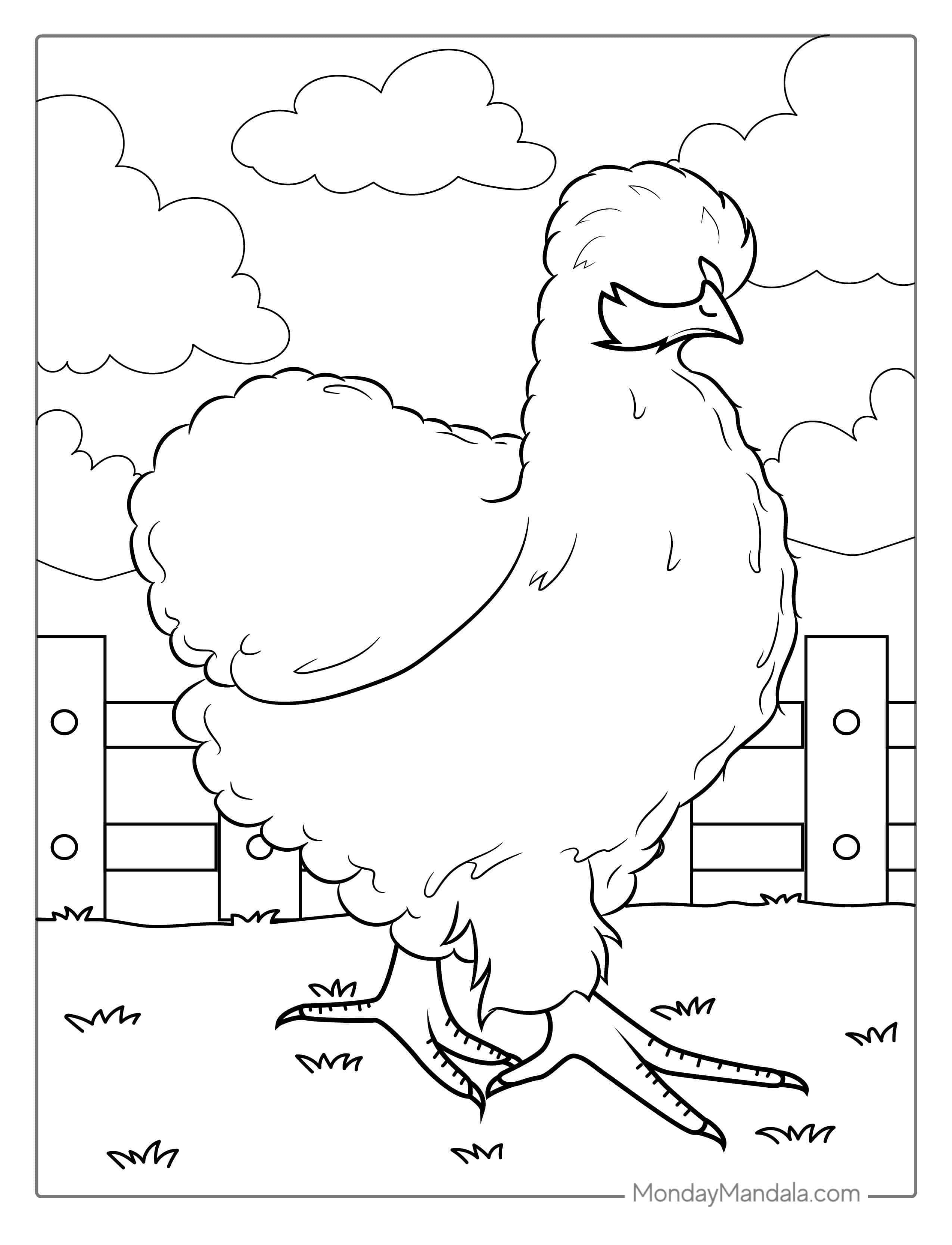 Chinese Silk Chicken Coloring Page coloring page — printable line art