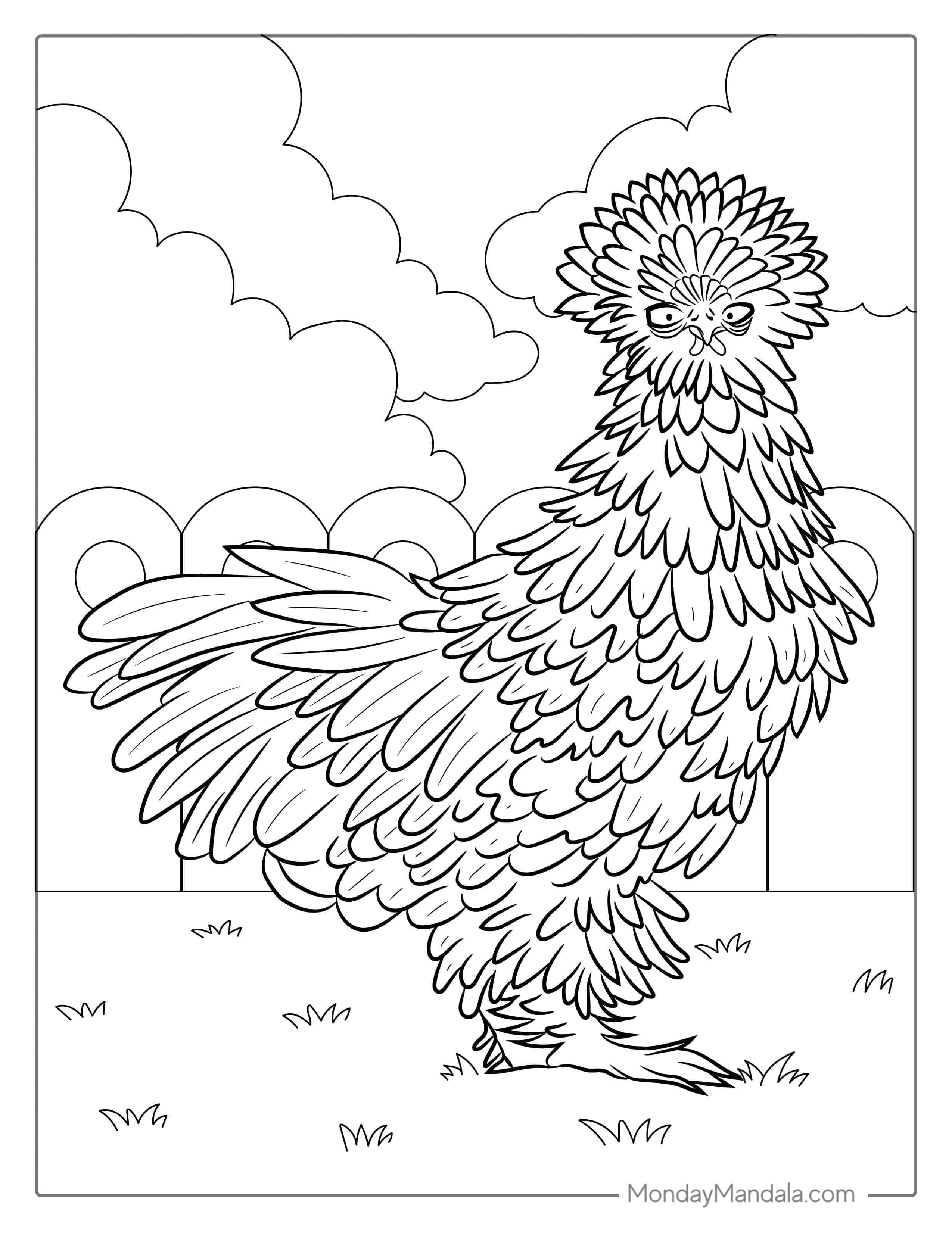 Coloring Page Of a Silkie Chicken coloring page — printable line art