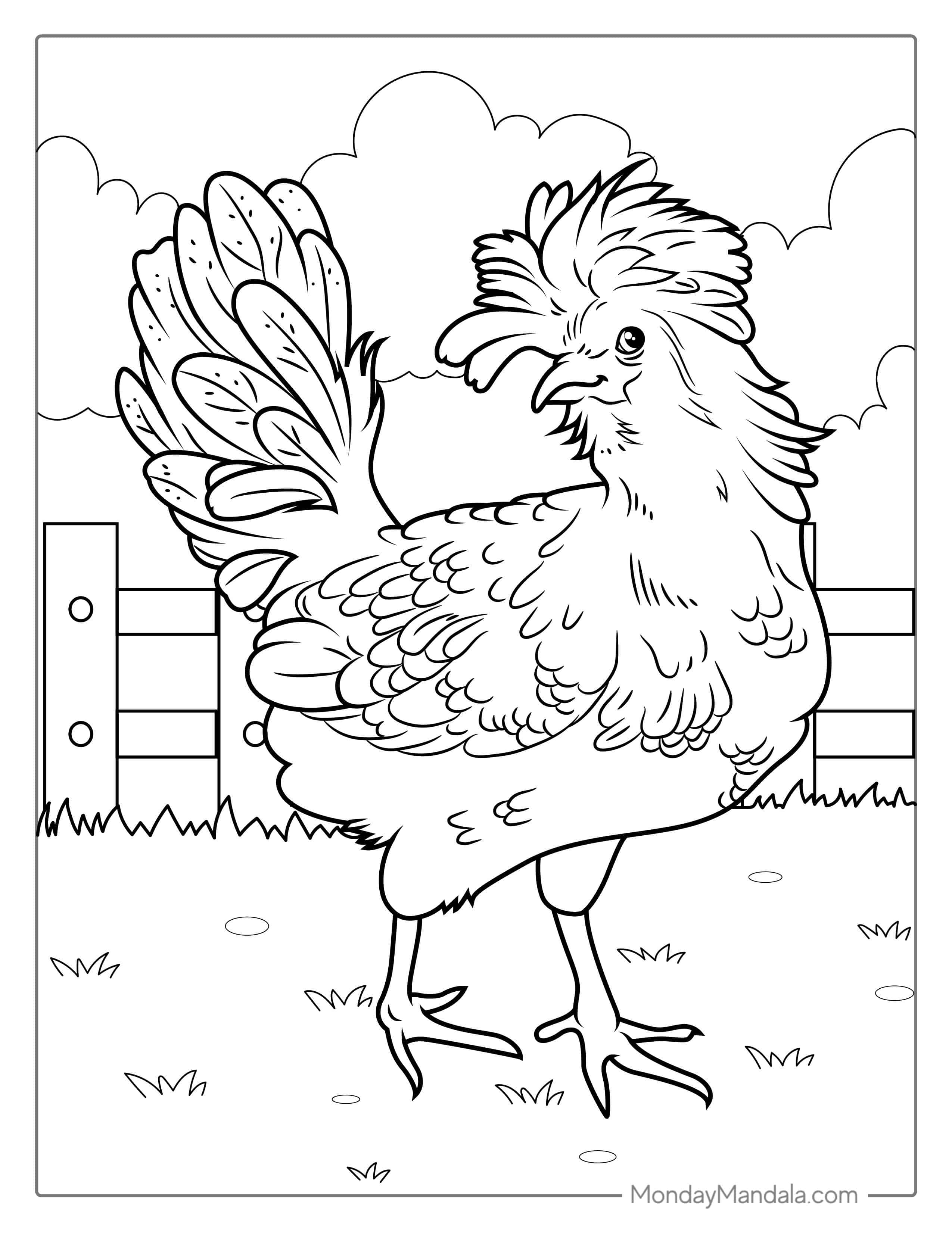 Detailed Chicken Coloring Page coloring page — printable line art