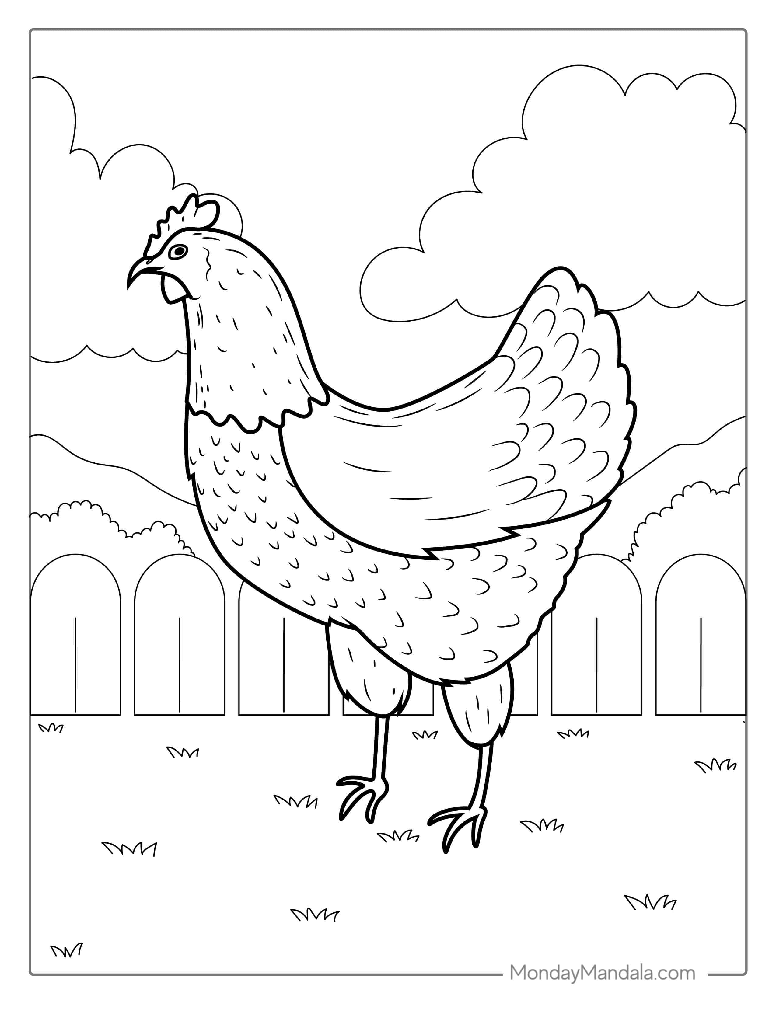 Easy Outline Of a Common Farm Chicken coloring page