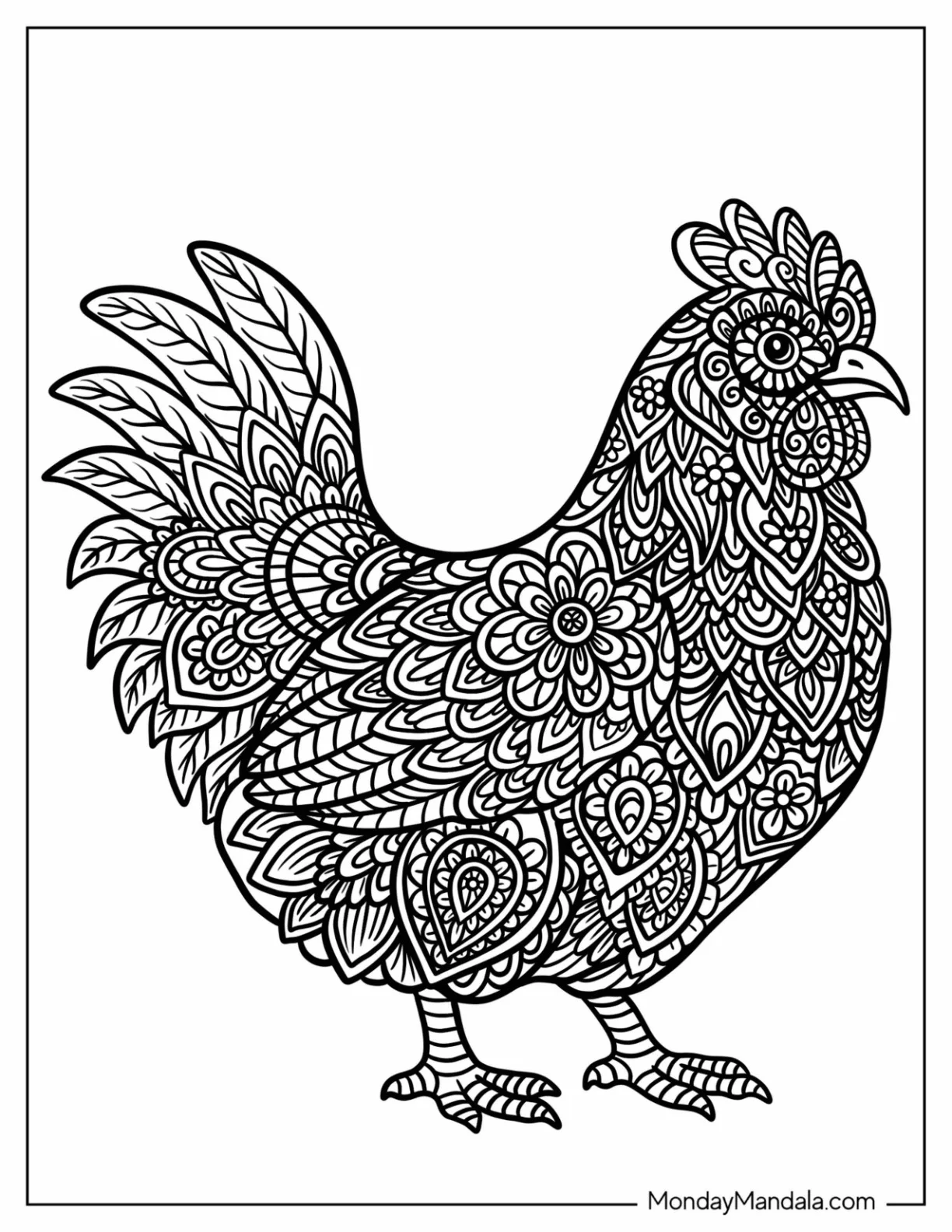 Intricate Chicken Coloring Page Mandala With Decorative Feathers coloring page — printable line art