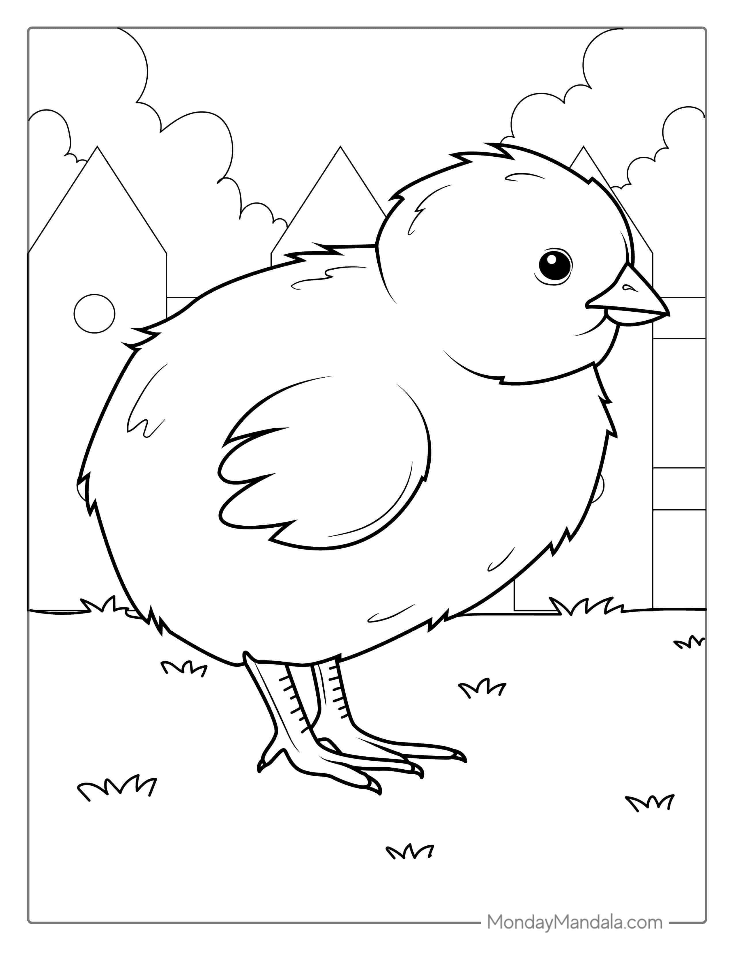 Realistic Baby Chicken Coloring Sheet coloring page — printable line art