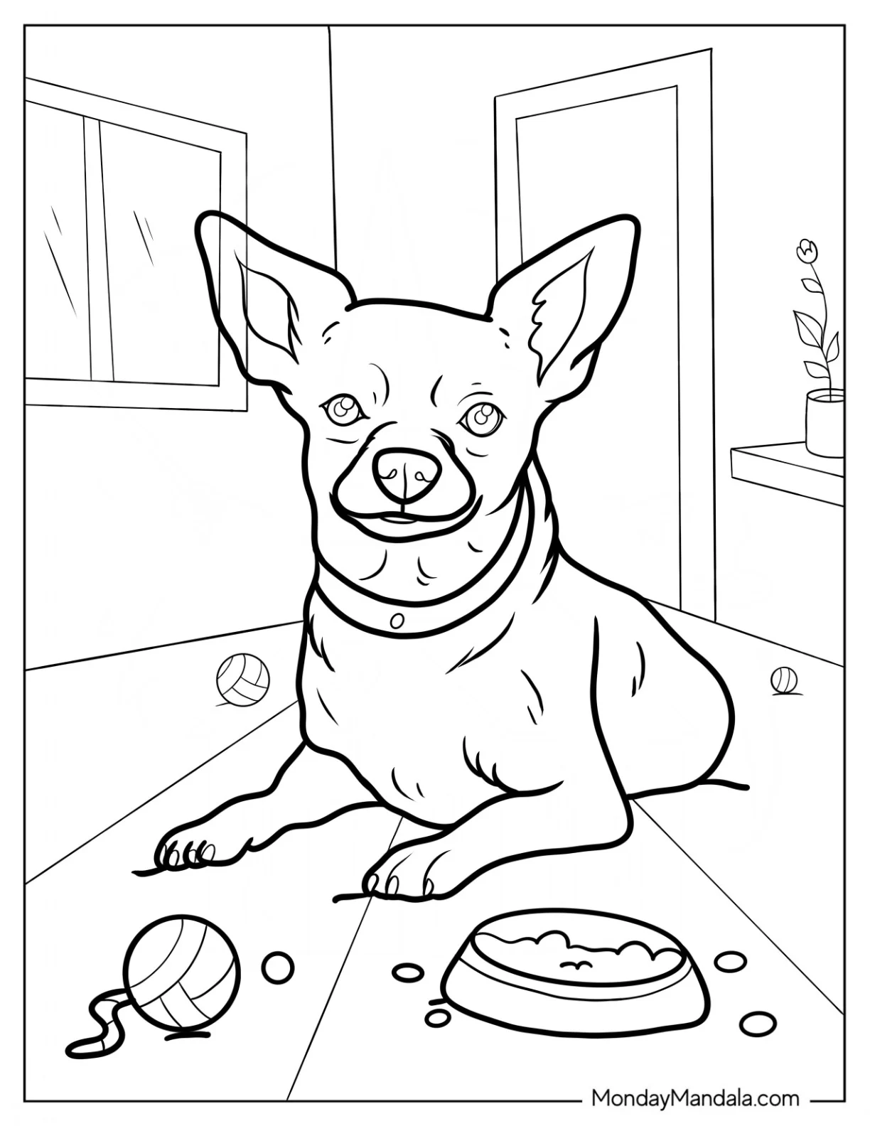 Chihuahua Coloring Page Resting Indoors coloring page