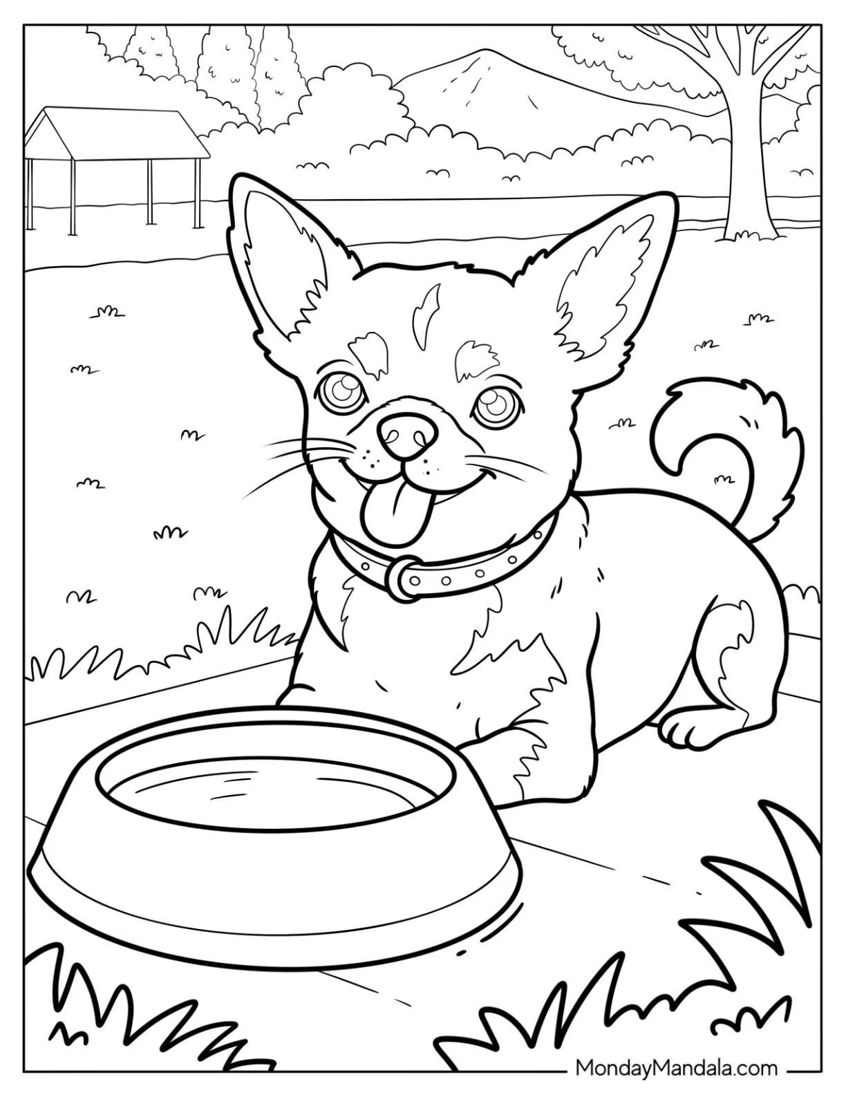 Chihuahua Coloring Page with Collar Panting Beside Water Bowl coloring page — printable line art