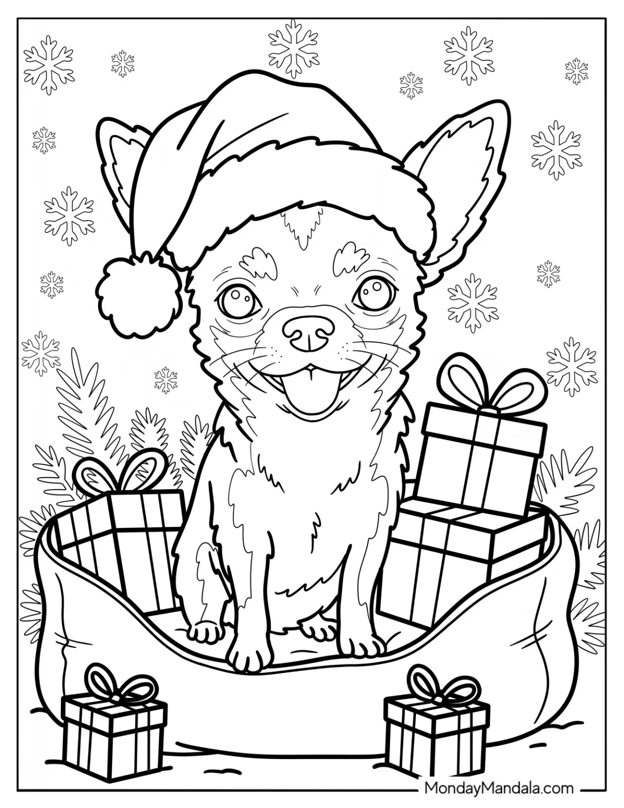 Furry Chihuahua Coloring Page  with Santa Hat inside Dog Bed with Christmas Presents coloring page — printable line art