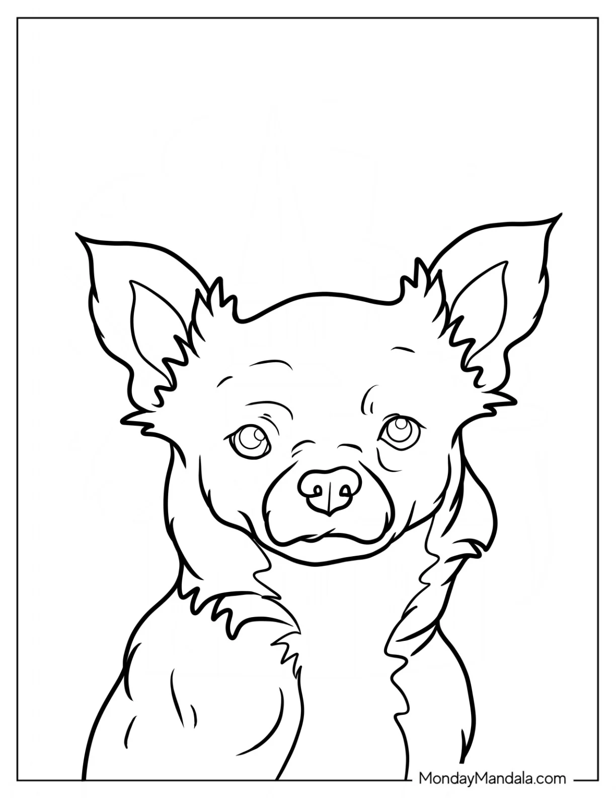 Furry Chihuahua Coloring Page coloring page — printable line art