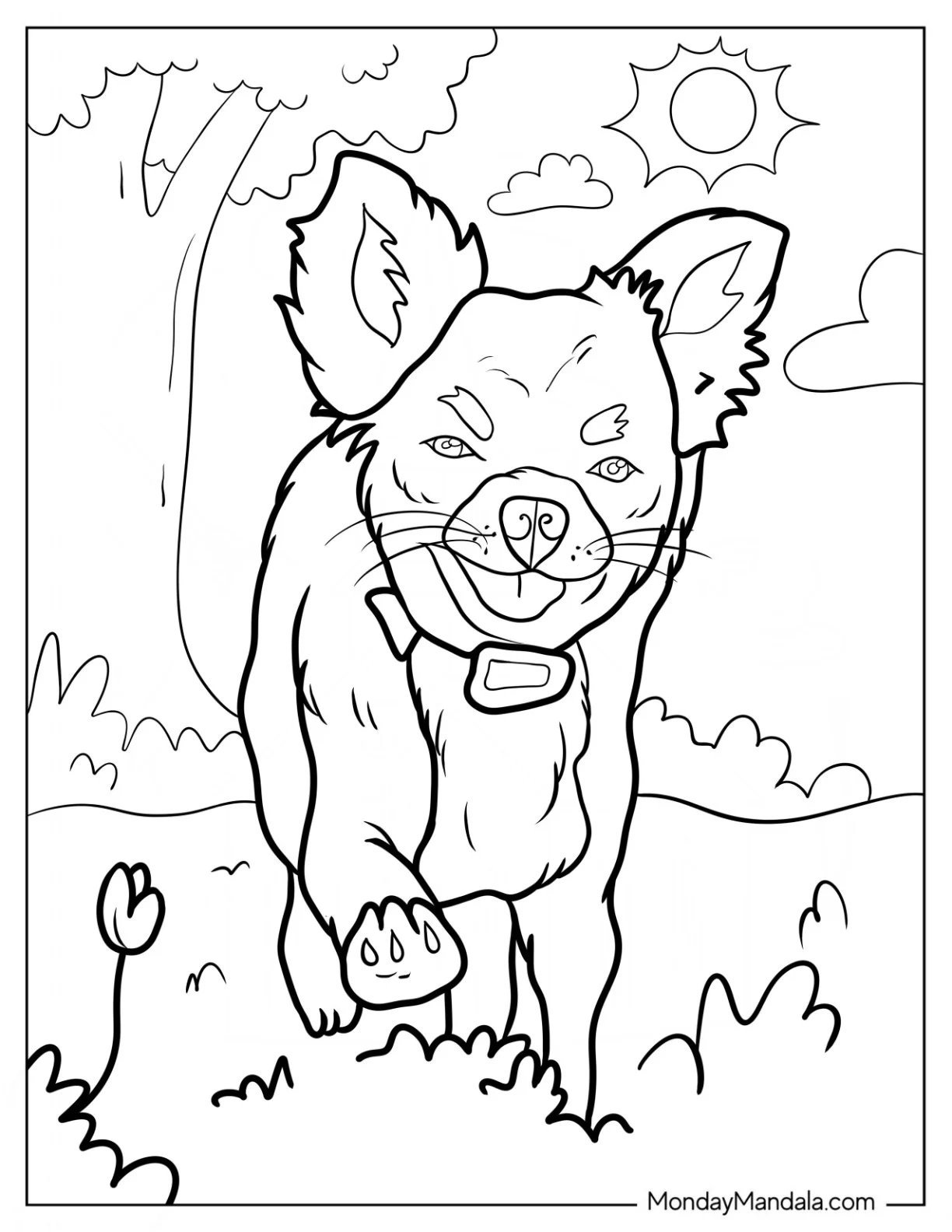 Happy Long Hair Chihuahua Coloring Page Walking On Grass coloring page — printable line art