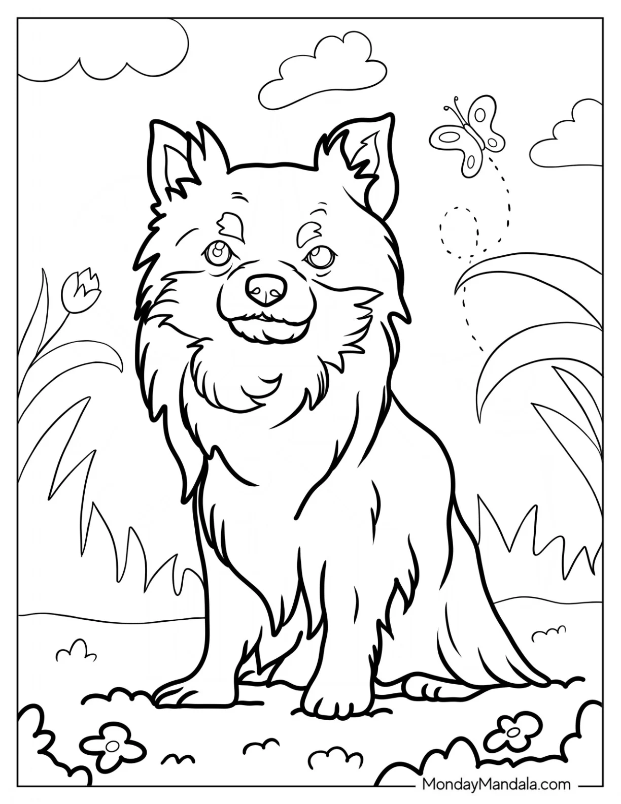 Long Hair Chihuahua Coloring Page Smiling For Kids coloring page — printable line art