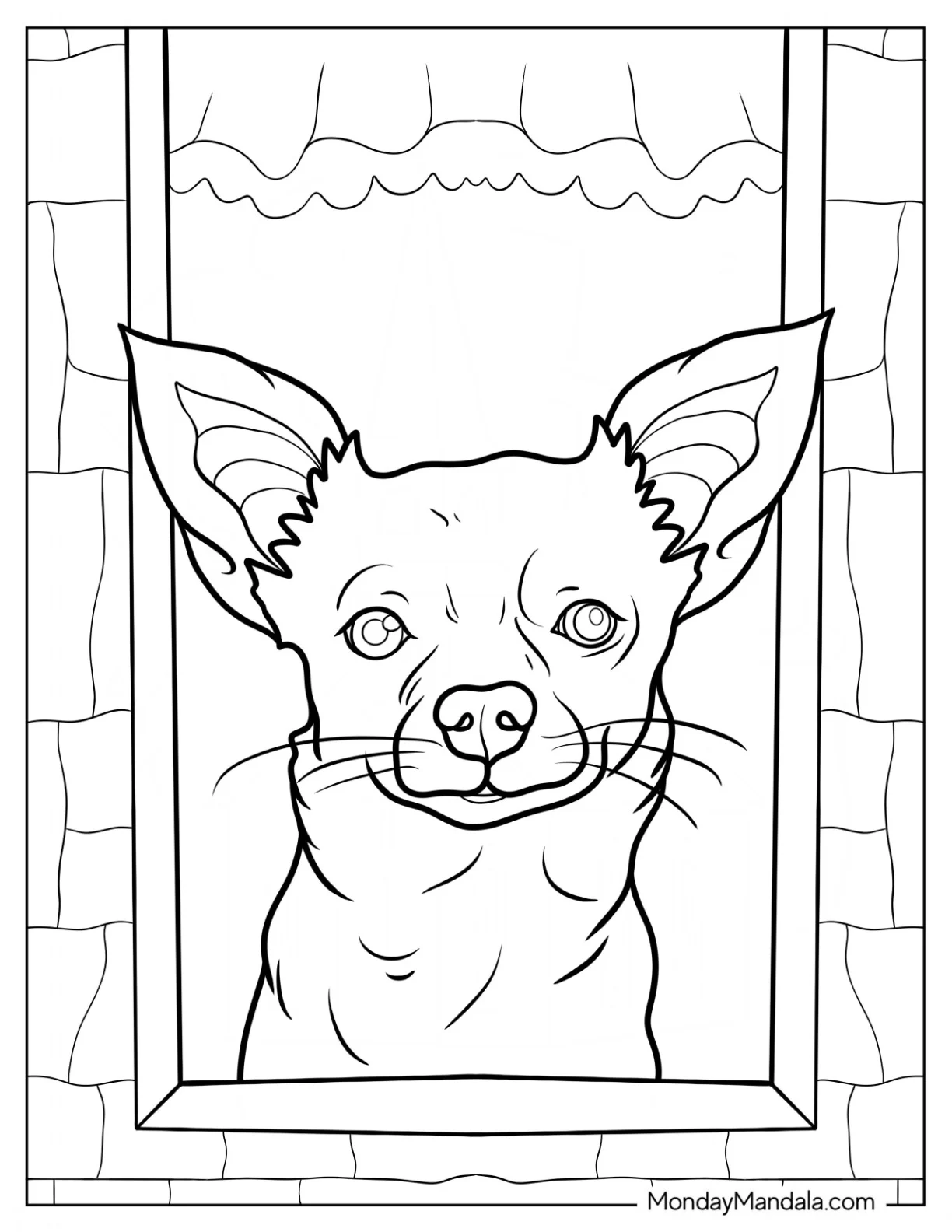 Realistic Chihuahua Coloring Page coloring page