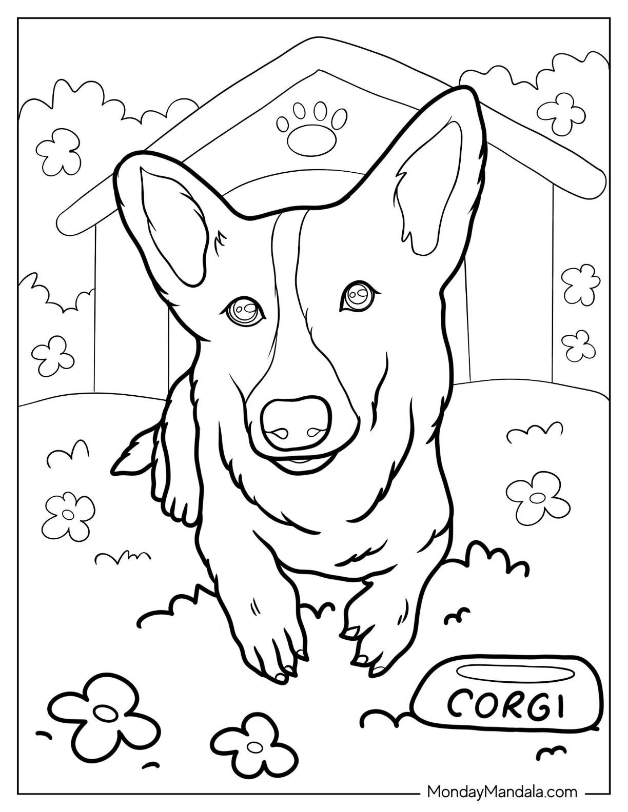 Close Up Of Realistic Corgi Coloring Page coloring page