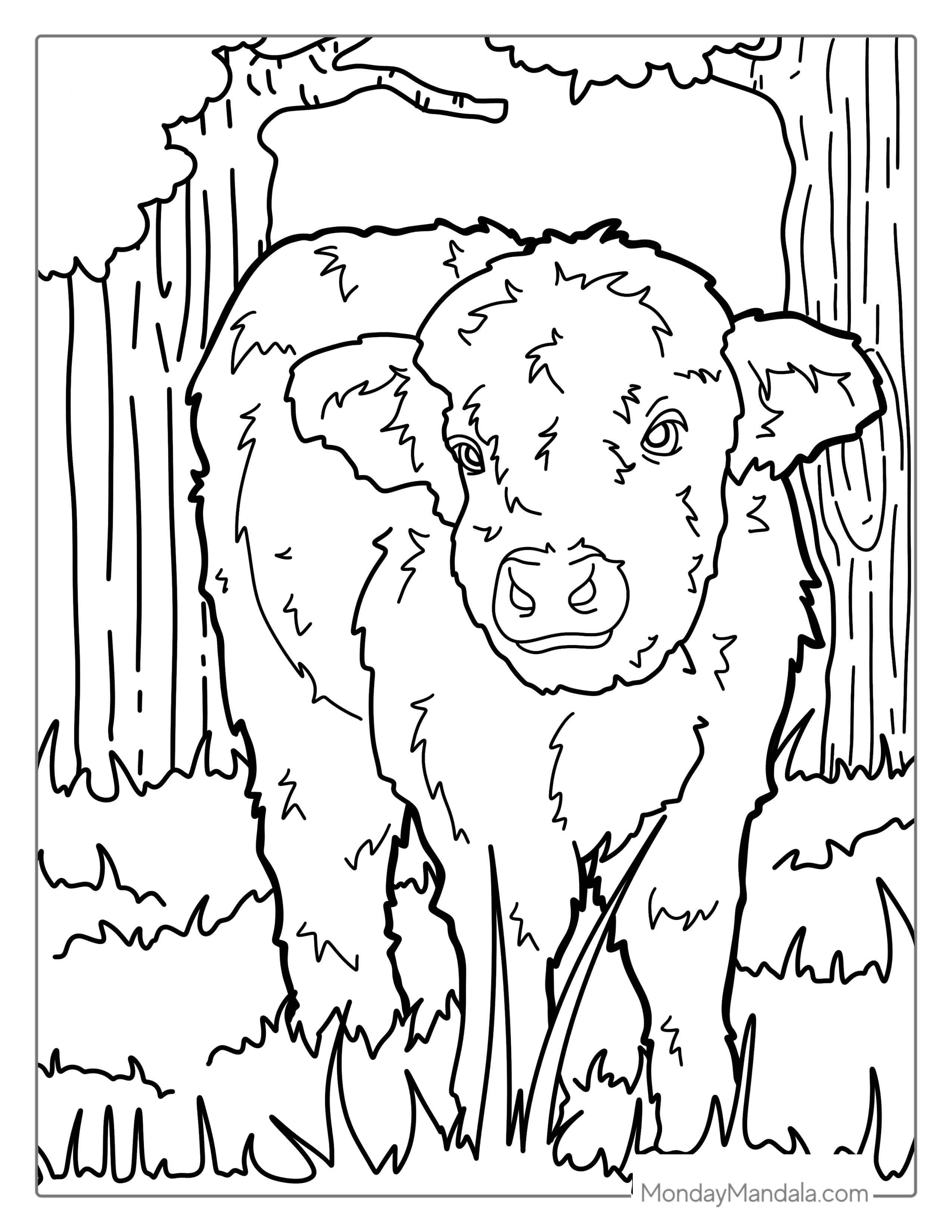 Baby Highland Cow Coloring Page For Kids coloring page — printable line art