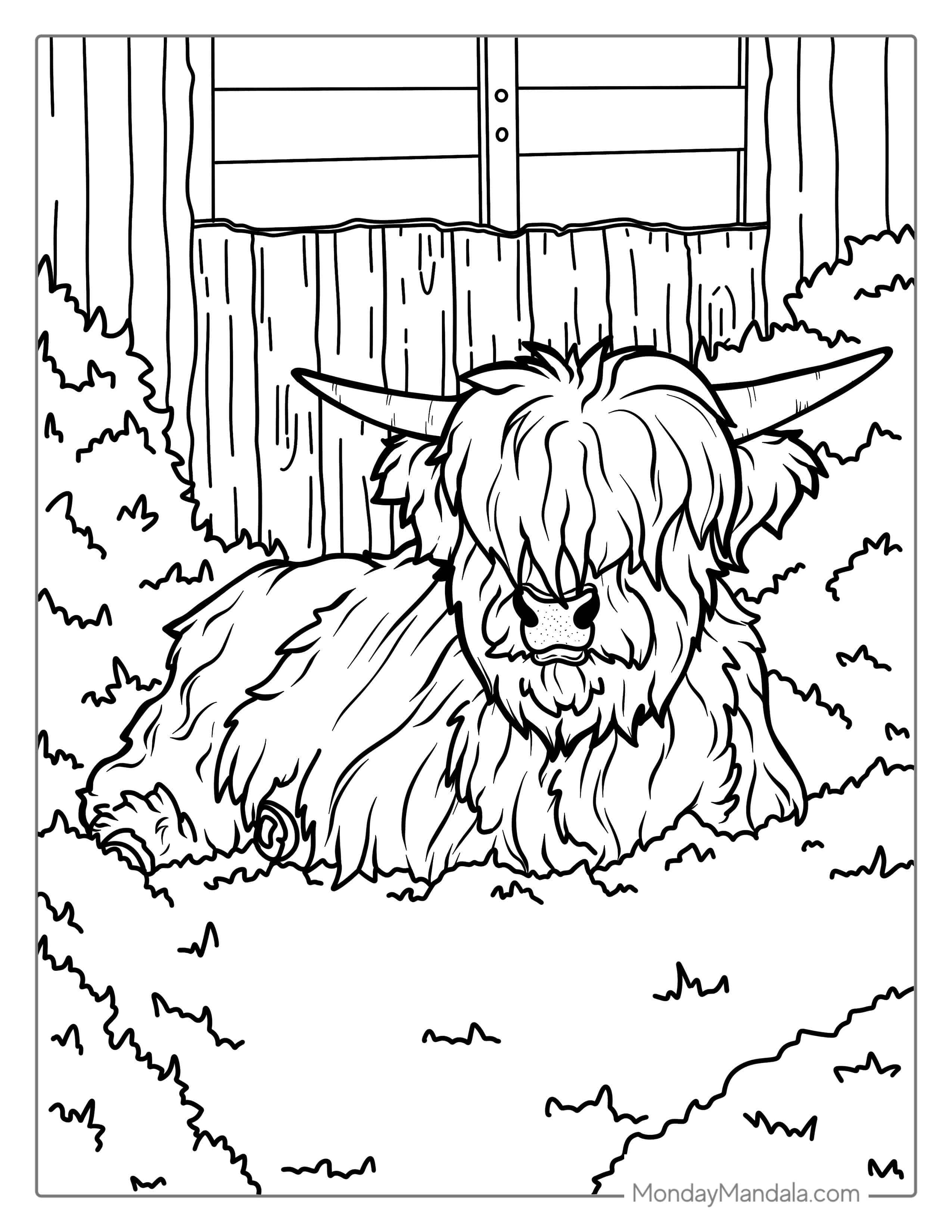 Baby Highland Cow Resting In Field Coloring In coloring page — printable line art