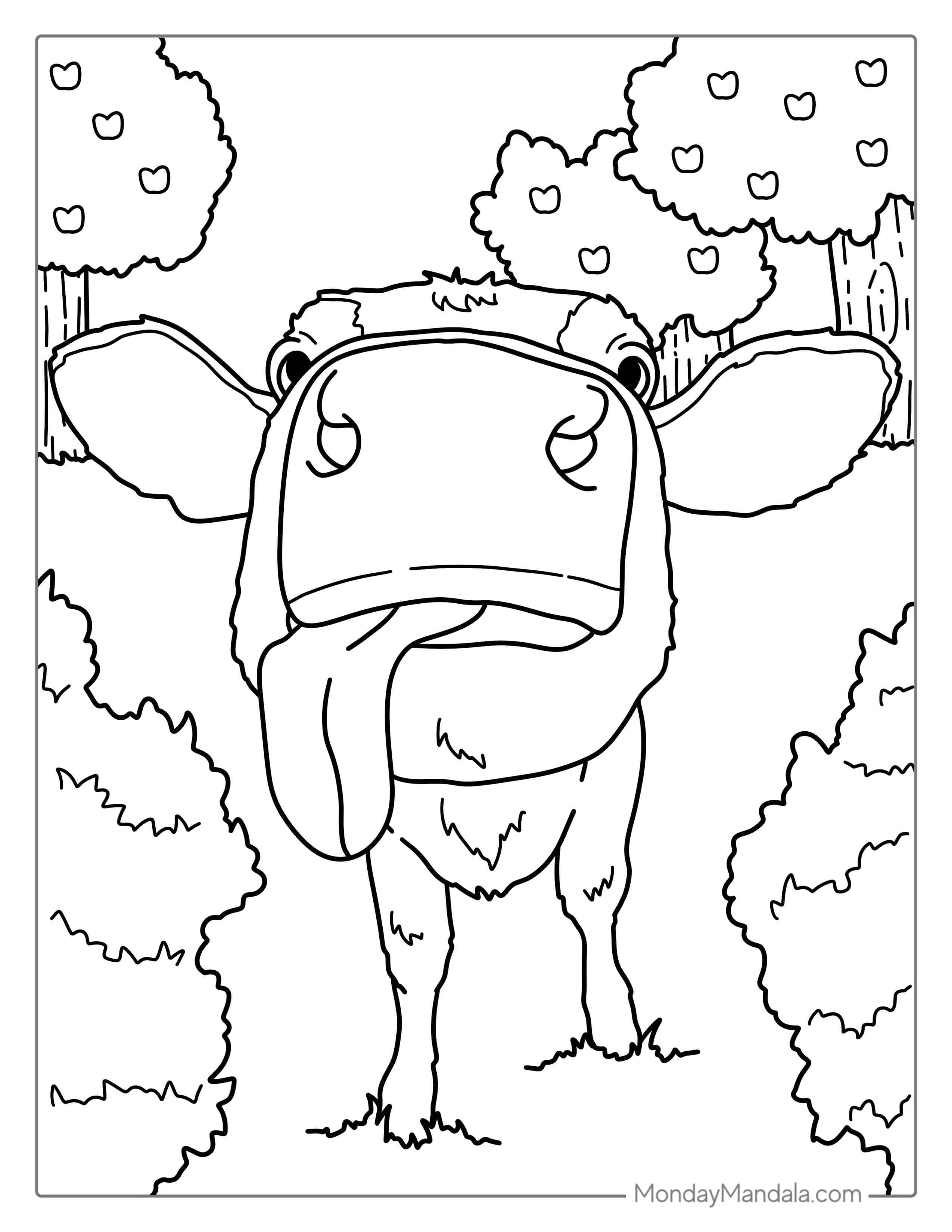 Big Cow Nose With Tongue Out Coloring Page coloring page