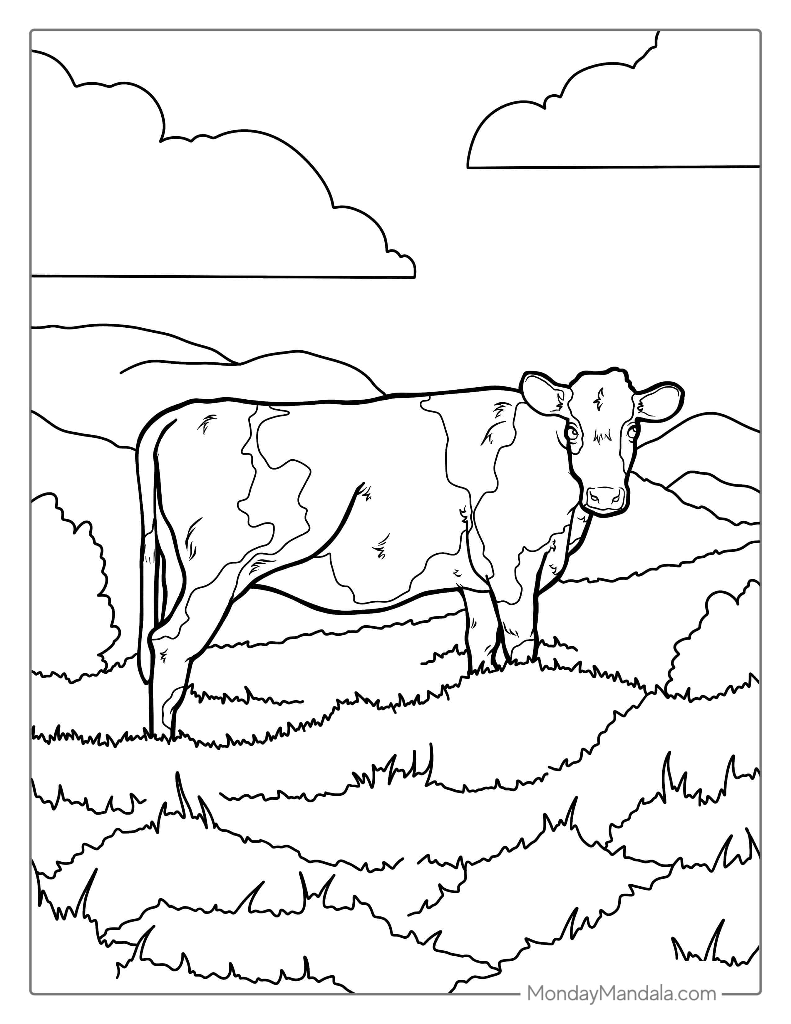 Brown Swiss Cow Standing In Field coloring page