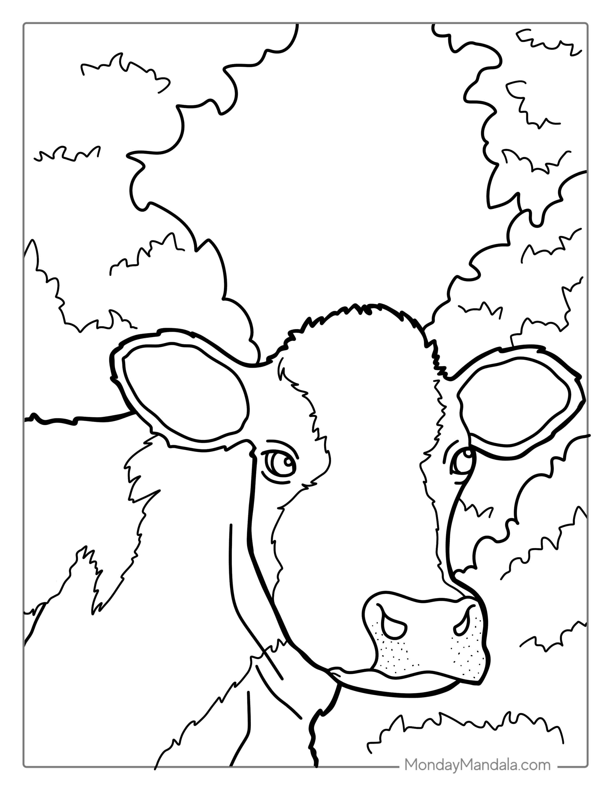 Close Up Of Jersey Cow Face Coloring In coloring page — printable line art